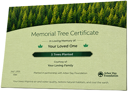 Plant Trees in Memory of Annie Ree Anderson